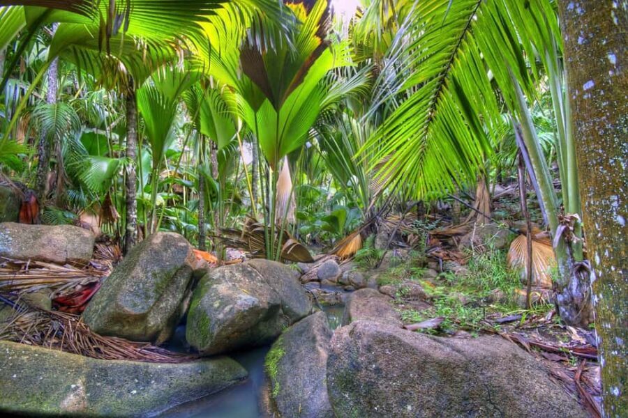 Praslin : Tour (Shared) - Zimbabwe Viewpoint: Panoramas Before You Head Back