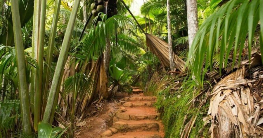 Praslin : Tour (Shared) - Price and Value: What $117 Covers on This Shared Tour