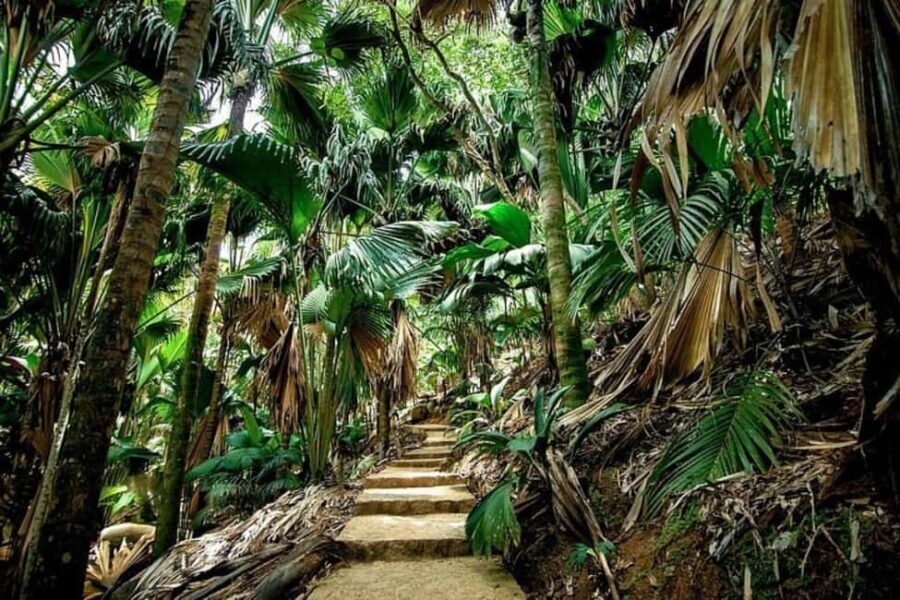 Praslin : Tour (Shared) - Who This Tour Is Best For (And Who Should Think Twice)