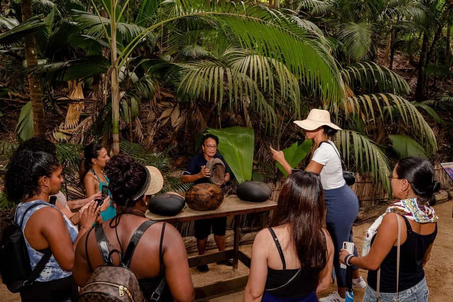 Praslin: Vallee de Mai Guided Hike with Transfer - The rare bird moment: listening for the Seychelles Black Parrot