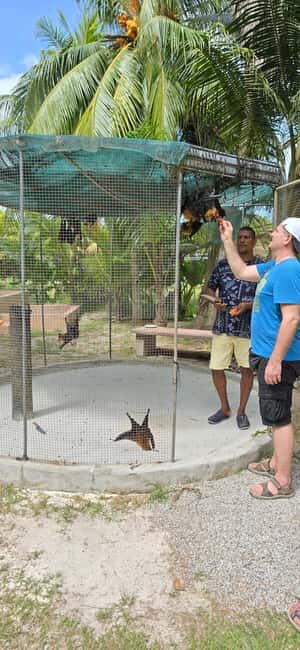 Praslin:Private Tour ValleDeMai,CoteD'orMuseum & AnseLazio - Six Hours of Praslin: how the 10am–4pm plan works