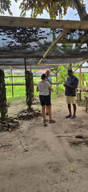 Praslin:Private Tour ValleDeMai,CoteD'orMuseum & AnseLazio - Anse Lazio: four hours of top beach time (and where to grab lunch)
