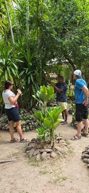 Praslin:Private Tour ValleDeMai,CoteD'orMuseum & AnseLazio - Guide factor: why Viviane makes the day smoother