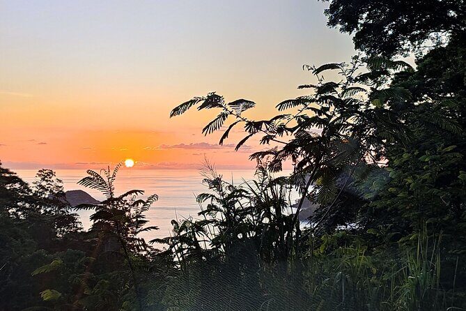 Private Day Tour in Seychelles - A private Mahé day that’s built for flexibility, not checklists
