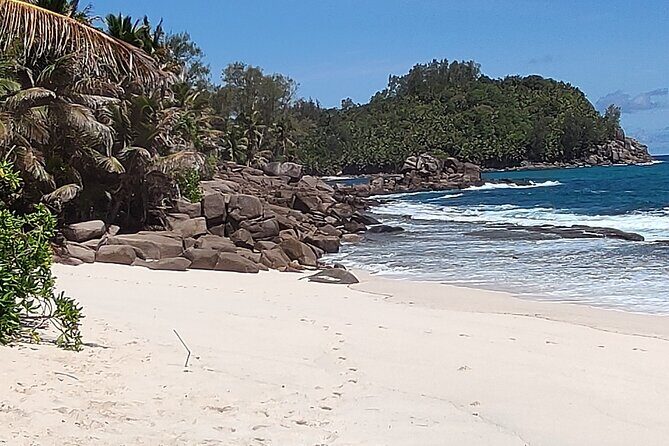 Private Day Tour in Seychelles - Seychelles National Botanical Gardens: a shaded reset and bird-time bonus