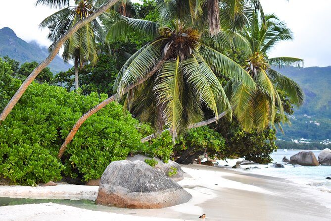 Private Half Day Mahe Island Tour (1-5 persons) - Practical tips to help you get the most from your guide’s customization