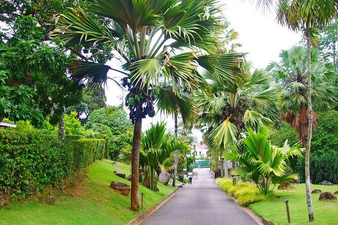 Private Mahe Island Full day Tour with Pickup - Takamaka Rum Distillery: the included tour and tasting that makes the day fun