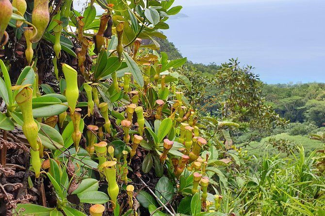 Private Nature Tours & Trail 1 to 5 persons - Who Should Book This Private Nature Hike, and Who Should Skip It