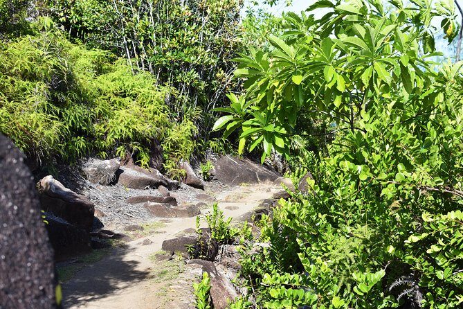 Private Nature Trail (Hiking) (1-2 persons) - Trois Frères Trail: Easy-Medium Elevation and an East-Coast Panorama