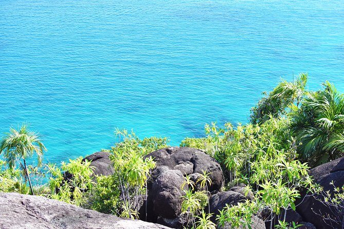 Private Nature Trail (Hiking) (1-2 persons) - Morne Blanc: Hard Climb, Rain-Season Moss, and Rare Wildlife Odds
