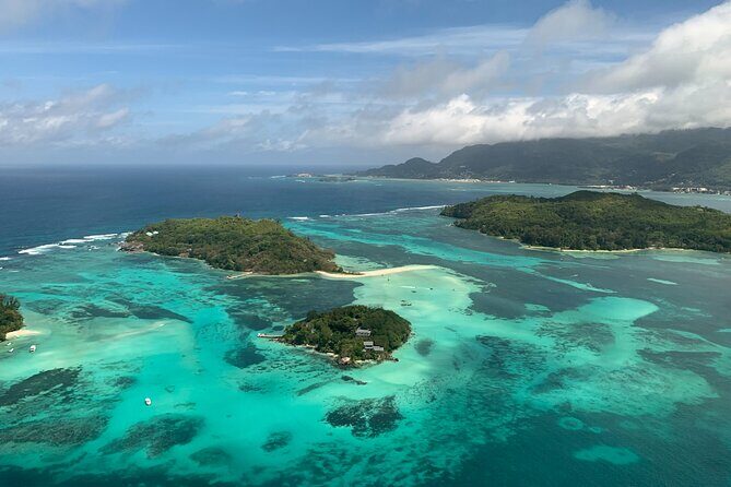 Reef Safari - Snorkeling, Fish Feeding & Lunch (Private Day Trip) - Key things to notice before you go