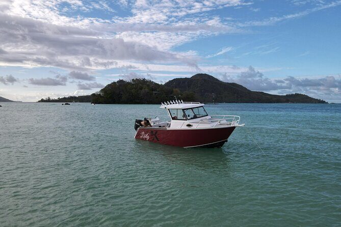 Reef Safari - Snorkeling, Fish Feeding & Lunch (Private Day Trip) - Private Reef Safari on Mahé: what makes this day different
