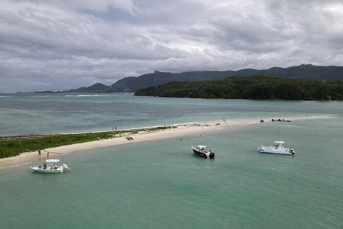 Reef Safari - Snorkeling, Fish Feeding & Lunch (Private Day Trip) - Moyenne Island: tortoises, beaches, and a real place to slow down