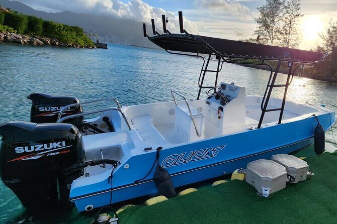 Reef Safari - Snorkeling, Fish Feeding & Lunch (Private Day Trip) - Lunch on Moyenne Island: the included meal that keeps your day on track