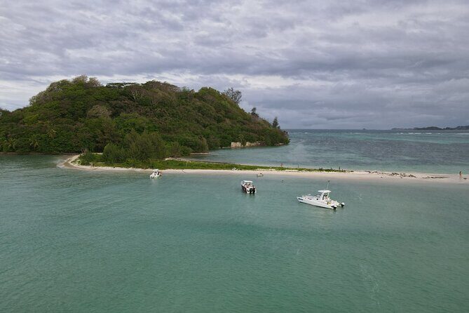 Reef Safari - Snorkeling, Fish Feeding & Lunch (Private Day Trip) - Price and value for a up-to-two private day trip