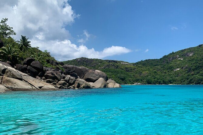 Reef Safari - Snorkeling, Fish Feeding & Lunch (Shared Day Trip) - Key things I’d circle before you book