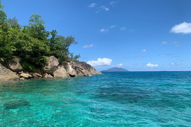 Reef Safari - Snorkeling, Fish Feeding & Lunch (Shared Day Trip) - St. Anne Marine National Park: snorkeling choices and fish-feeding fun
