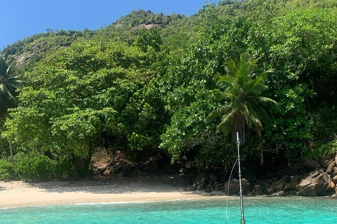 Reef Safari - Snorkeling, Fish Feeding & Lunch (Shared Day Trip) - Cerf Island: Creole BBQ, reef time, and a real beach break