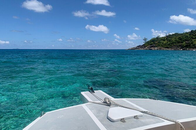 Reef Safari - Snorkeling, Fish Feeding & Lunch (Shared Day Trip) - Price and value: what about $153.66 really covers