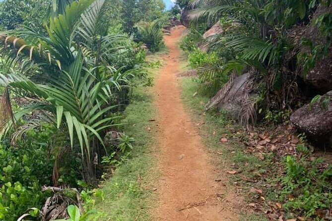 Relaxed hike to Anse Major | Mahe, Seychelles, Great Private Tour - The private tour setup: pickup, timing, and what you control