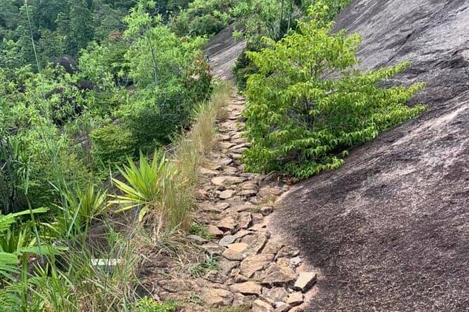 Relaxed hike to Anse Major | Mahe, Seychelles, Great Private Tour - The beach arrival: swim, snorkel, and a freshwater pool you can’t reach by car