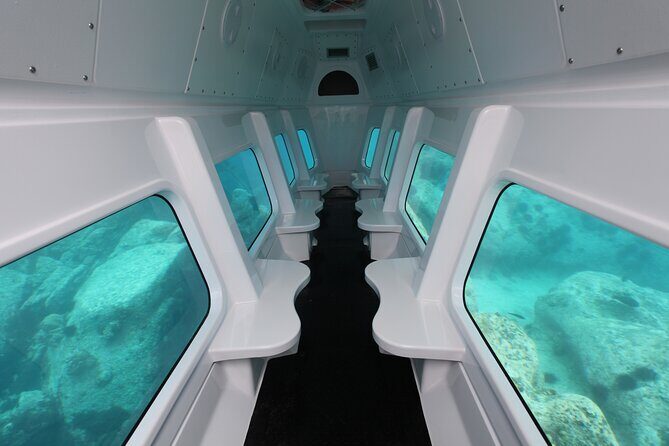 Semi Submarine Tour in Saint Anne Marine National Park - Marine life odds: what you might actually spot