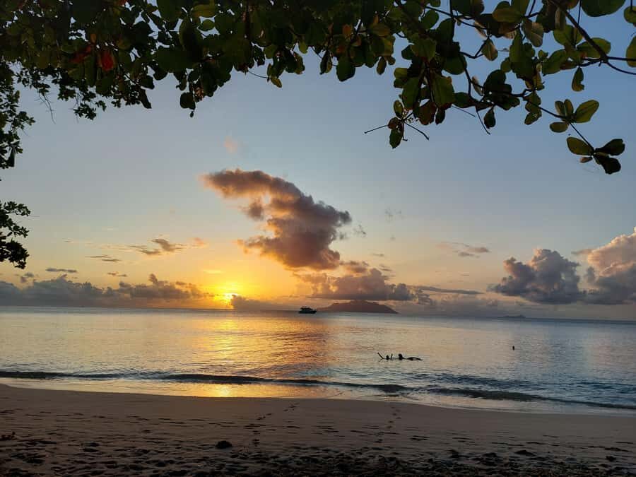 Seychelles: Best of Mahe Private Tour - A private full-day on Mahe: what you’re really paying for