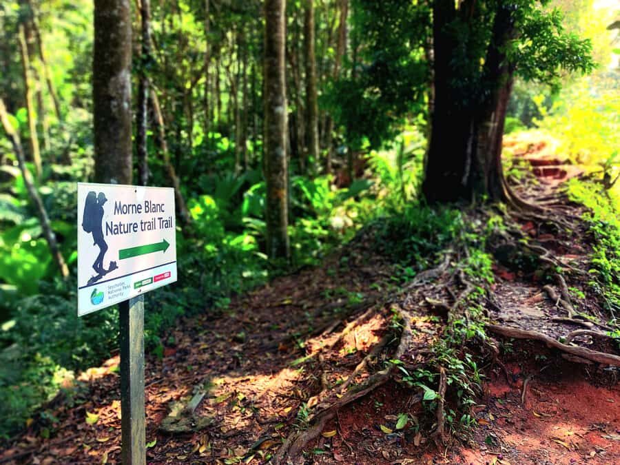 Seychelles: Best of Mahe Private Tour - Practical details that make or break a long tour day