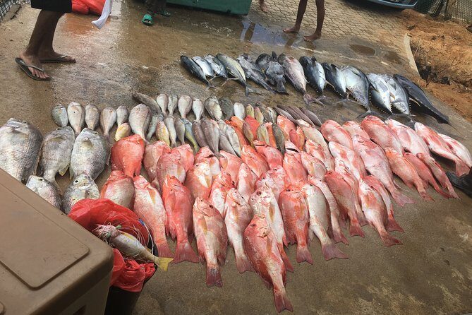 Seychelles Fishing - Key things I’d plan around