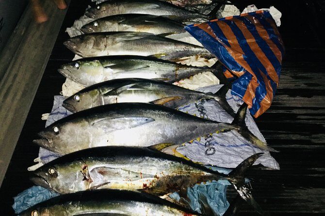 Seychelles Fishing - What You’ll Catch, and How the Day’s Fishing Usually Plays Out