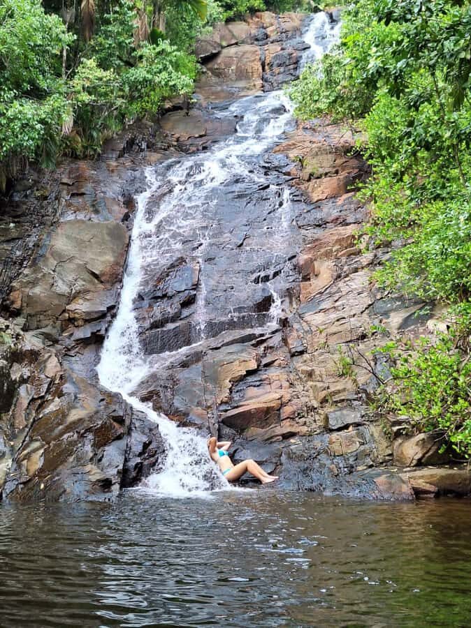 Seychelles: Full Day Private Tour in Mahe (1 to 5 Person) - Tea Factory Break Time: A Quick Cultural Stop With Photos and Views