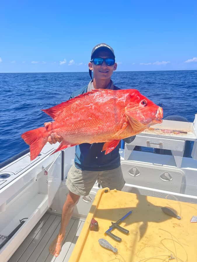 Seychelles: Guided Fishing Trip with Pickup and Equipment - Wildlife Encounters: Dolphins, Manta Rays, Turtles, and the Mood Shift