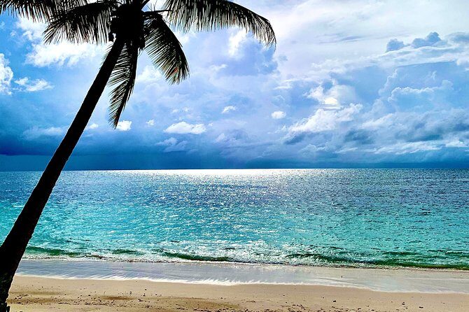 Seychelles Island Tour (PRIVATE 4 hours or 8 Hours) - Victoria Market: Start With Local Energy and Easy Time