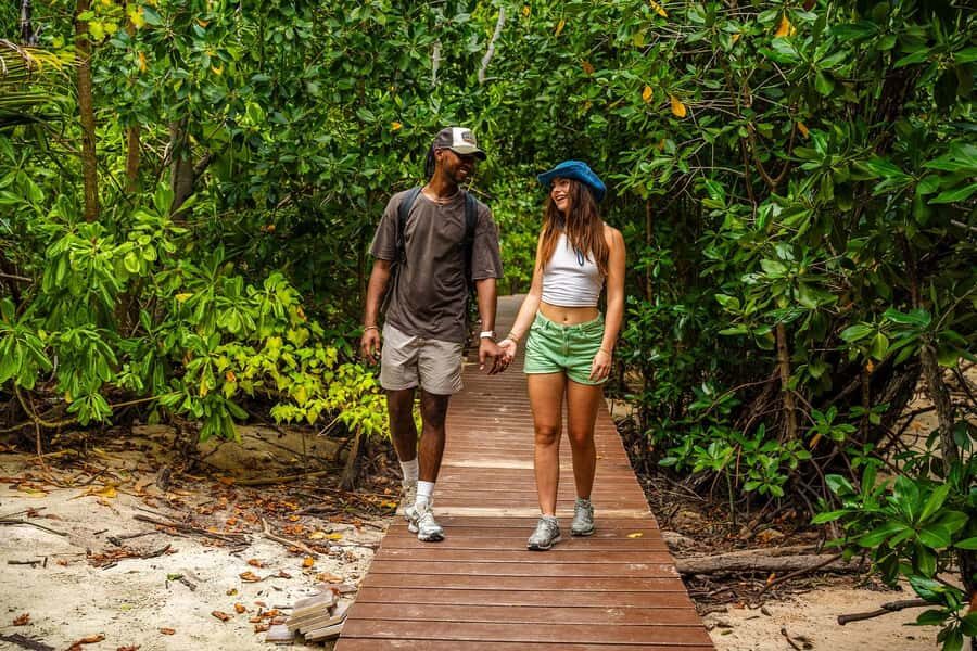 Seychelles: St Pierre and Curieuse Catamaran Tour with Lunch - St Pierre Island Snorkeling: The Stop That Makes This Worth It