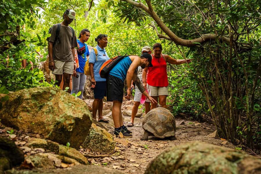 Seychelles: St Pierre and Curieuse Catamaran Tour with Lunch - Coastal Cruising Along Praslin’s North East Coast