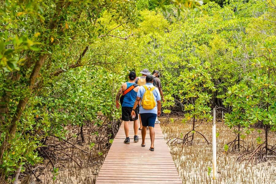 Seychelles: St Pierre and Curieuse Catamaran Tour with Lunch - Price and Value: Is $166 Fair for a 7–8 Hour Day?