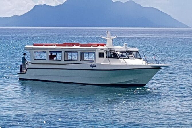 Seychelles VIP Transport Services - Ride Quality, Timing, and Arrival Pace