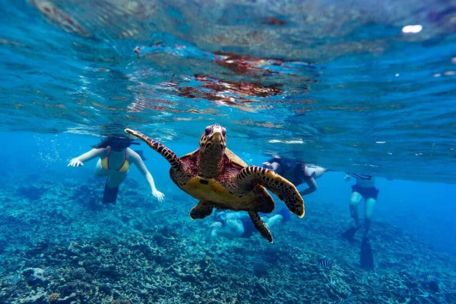 Sister, Coco, and Felicite Island: Seychelles Catamaran Tour - Key highlights worth getting excited about