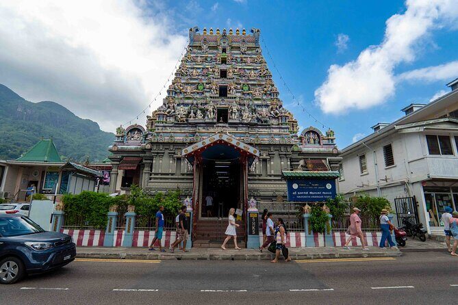 South Mahe Full day Guided Tour - Tea plantation and misty mountain scenery on the drive
