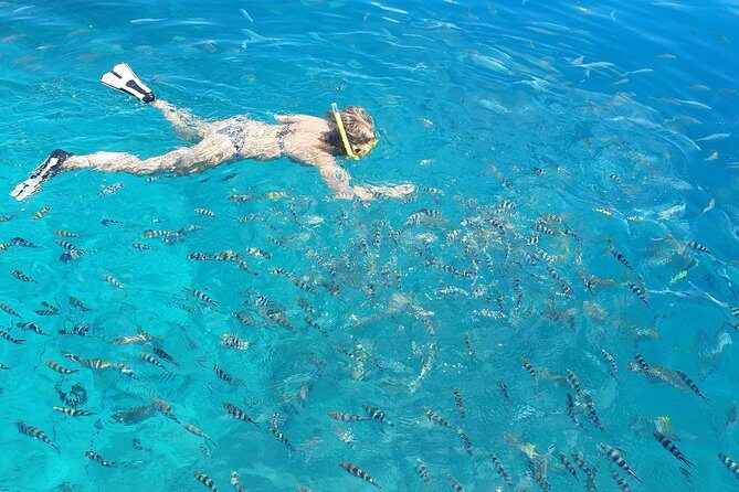 St Anne Marine Park & Moyenne Island, Creole Lunch (Private Boat) - St Anne Snorkeling Time: Rays, Turtles, and the Tide-Weather Reality