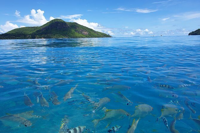 St Anne Marine Park & Moyenne Island, Creole Lunch (Private Boat) - Crew Names You Might Meet: How Flexibility Shows Up in Real Life