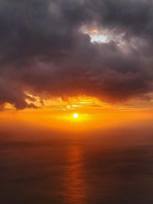 Sunset Explorer! Scenic Mountain Hike in Seychelles - Jungle walking on Mahé: flora, fauna, and small sightings that matter