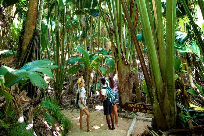 Vallee de Mai Tour (From Praslin) - Why Vallée de Mai feels worth the time on Praslin