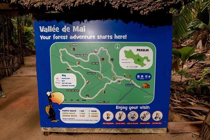 Vallee de Mai Tour (From Praslin) - Wildlife spotting: frogs, stick insects, chameleons, and parrots