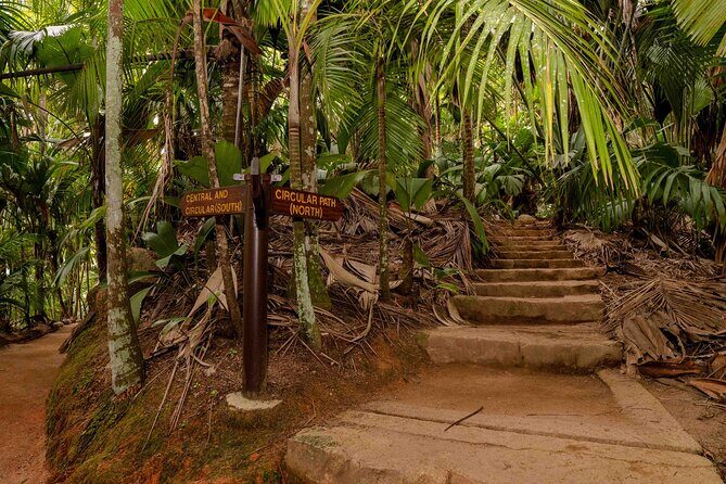 Vallee de Mai Tour (From Praslin) - Getting there and getting back: pickup in Praslin that actually matters