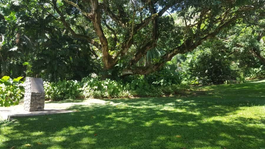 Victoria: Guided City Tour and Botanical Gardens Entry - Key things to know before you go
